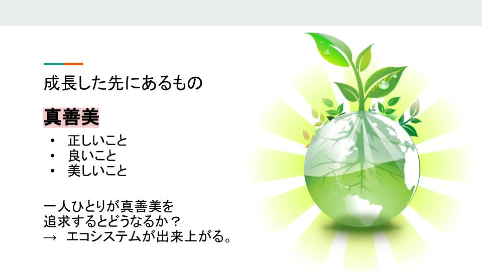 真善美