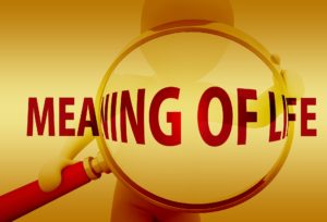 Meaning Questions